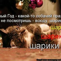 Фото приколы Новогодняя котоматрица (28 фото)