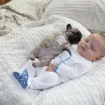 Фото приколы Малыш и щенята (10 фото)
