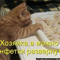 Фото приколы Веселая котоматрица (16 фото)