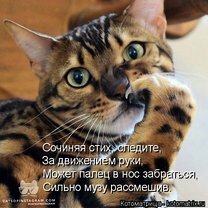 Фото приколы Котоматрицы для кошколюбов (30 фото)