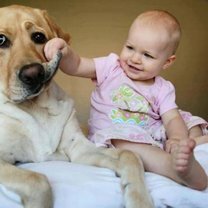 Фото приколы Позитив с детьми и собаками (26 фото)