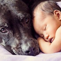 Фото приколы Позитив с детьми и собаками (26 фото)