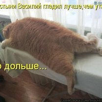Фото приколы Подборка котоматрицы (47 фото)