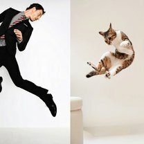 Фото приколы Модели пародируют котов