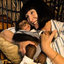 Смешные обезьянки фото 1