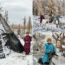 Фото приколы Из жизни монгольских оленеводов