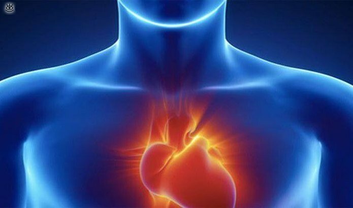 Интересно о сердце человека 9