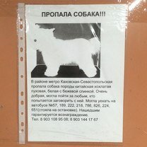 Фото приколы Русские приколы с изюминкой (27 фото)