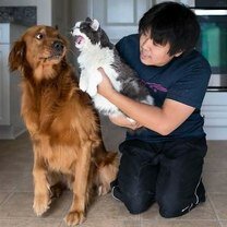 Фото приколы Как общаются кошки и собаки (40 фото)