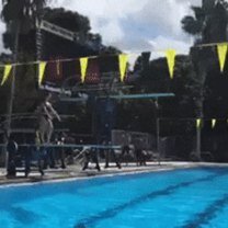Фото приколы Провальные прыжки в воду (10 фото)