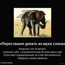 Фото приколы Не делай слона из мухи (10 фото)
