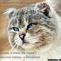 Фото приколы Апрельская котоматрица (30 фото)