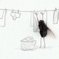 Фото приколы Необычные картины с мухами (11 фото)