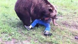 Смотреть Безумные игры с медведем