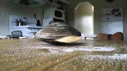 Смотреть Моллюск любит соль