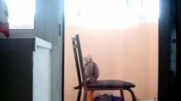 Смотреть Миссия кота со стулом