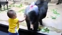 Смотреть Малыш и обезьяний зад