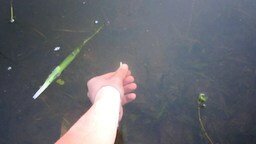 Как поймать рыбу рукой