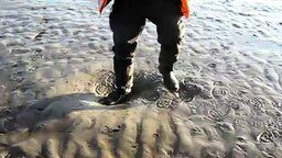 Смотреть Гуляя по зыбучему песку