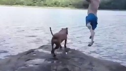 Пёс бросился спасать хозяина
