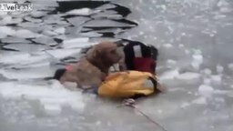 Спасение пса из ледяного плена