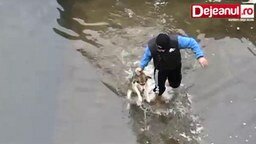 Спас собаку из ледяного плена
