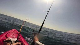 Смотреть Поймал акулу на спиннинг