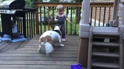 Девочка и собака резвятся
