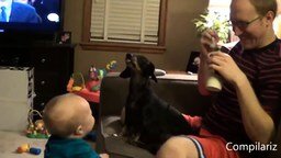 Весёлые собаки и детишки смотреть видео - 5:05