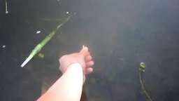 Смотреть Поймал рыбу голой рукой