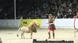 Пони-лев на арене цирка