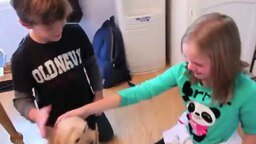 Смотреть Девочке дарят щенка