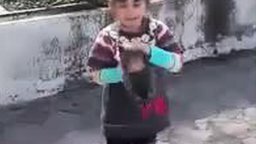 Девочка просит оставить котят
