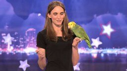 Смотреть Дрессированный попугай на шоу талантов