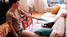Смотреть Как кошки встречают хозяев после армии