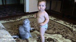 Смотреть Кот и малыш играют