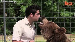 Смотреть Дружба с 13 медведями