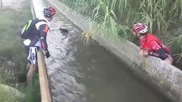 Добрые велосипедисты спасают кабана