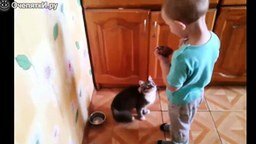 Мальчик кормит кота