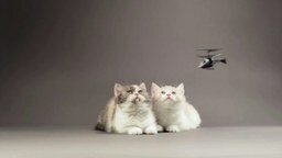 Котята против вертолётиков