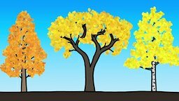 Почему листья осенью меняют цвет?