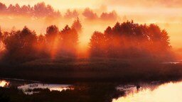 Смотреть Рассвет на реке Воронеж