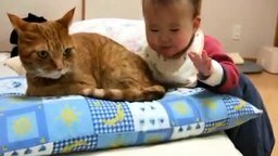 Малышка и кошачий хвост