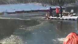 Спасение собаки из ледяной реки
