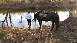 Смотреть Лошадь впервые видит реку