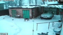 Смотреть Снег прогнул крышу гаража