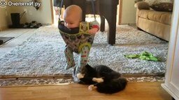 Смотреть Ребёнок - игрушка для кота
