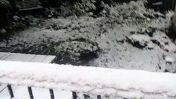 Смотреть Первый снег в жизни пса
