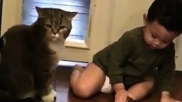 Смотреть Навязчивый человеческий детёныш и кот