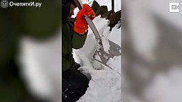 Смотреть Спас овцу из-под снега